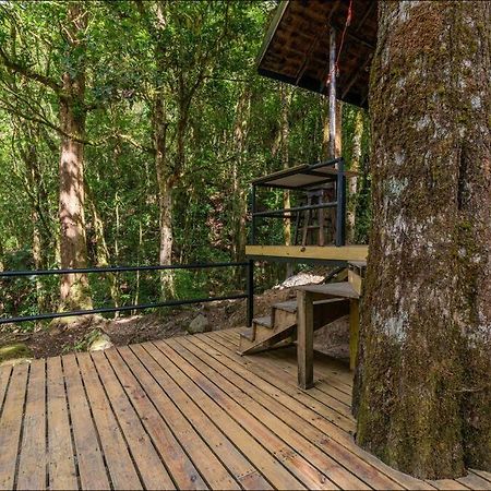 Unicorn Lodge: Direct Riverfront : Unique Experience San Gerardo de Dota Exterior photo