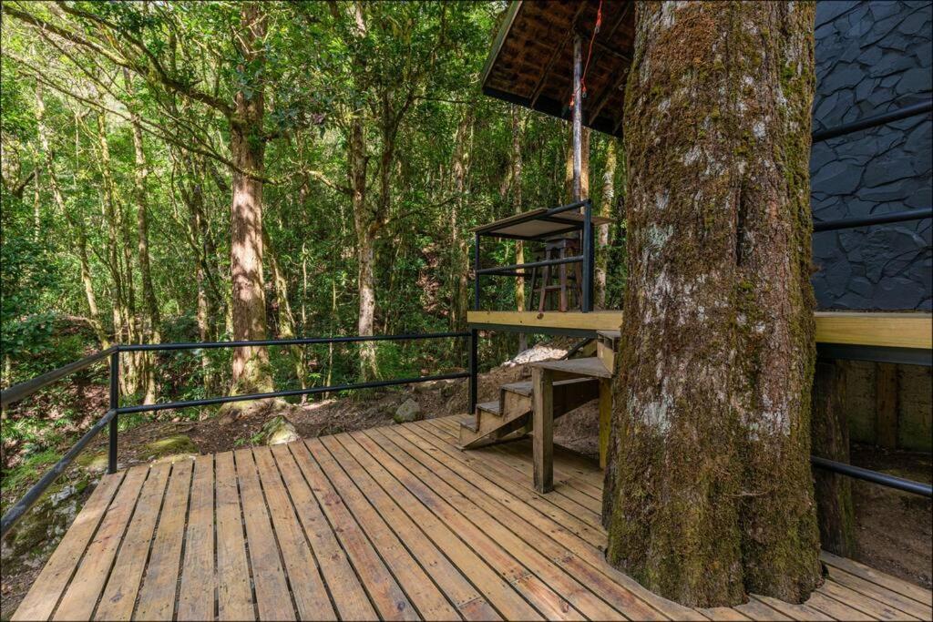 Unicorn Lodge: Direct Riverfront : Unique Experience San Gerardo de Dota Exterior photo