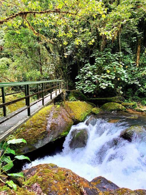 Unicorn Lodge: Direct Riverfront : Unique Experience San Gerardo de Dota Exterior photo