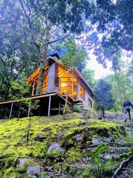 Unicorn Lodge: Direct Riverfront : Unique Experience San Gerardo de Dota Exterior photo