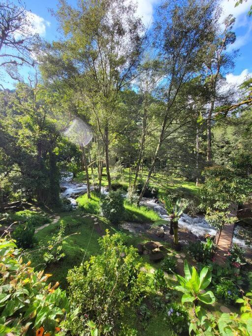 Unicorn Lodge: Direct Riverfront : Unique Experience San Gerardo de Dota Exterior photo