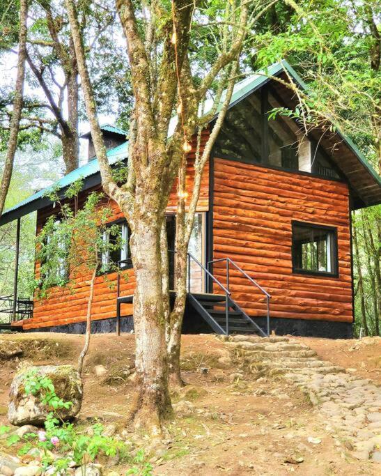Unicorn Lodge: Direct Riverfront : Unique Experience San Gerardo de Dota Exterior photo