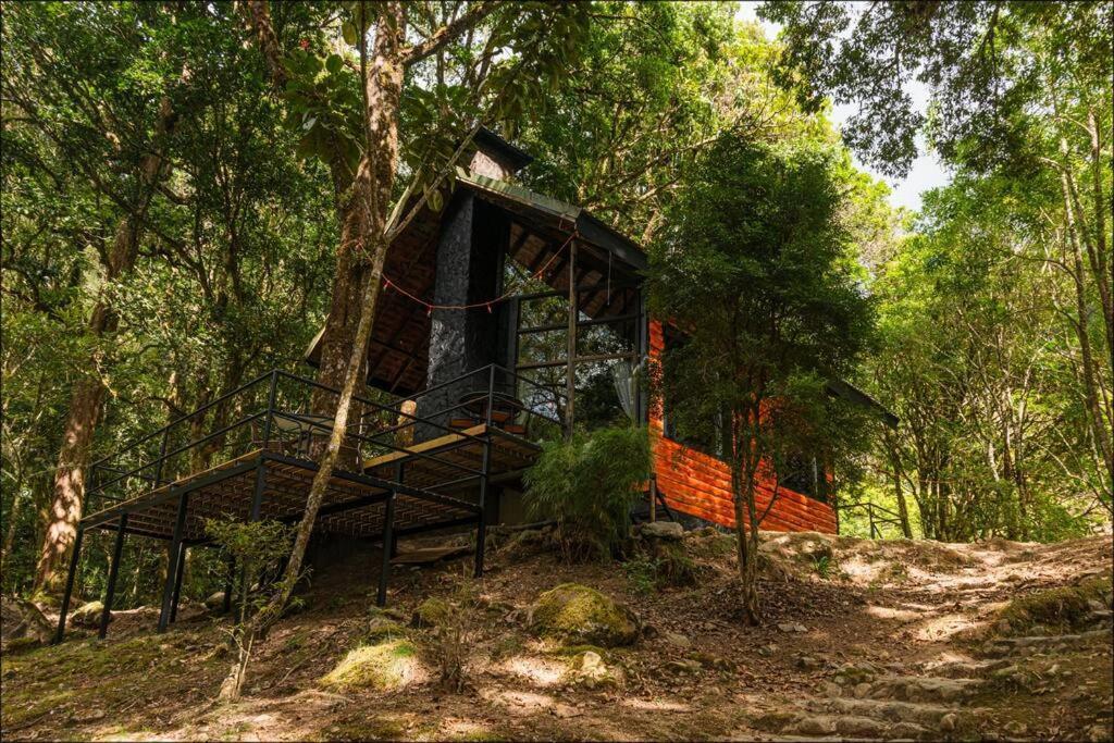 Unicorn Lodge: Direct Riverfront : Unique Experience San Gerardo de Dota Exterior photo