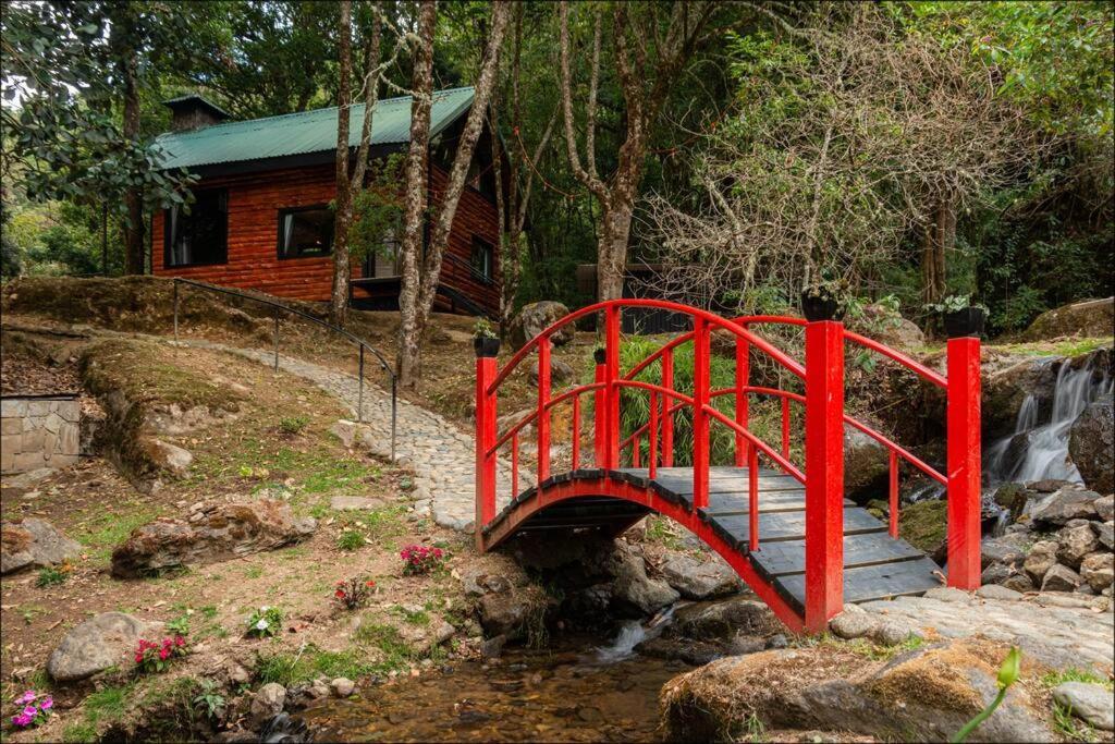 Unicorn Lodge: Direct Riverfront : Unique Experience San Gerardo de Dota Exterior photo